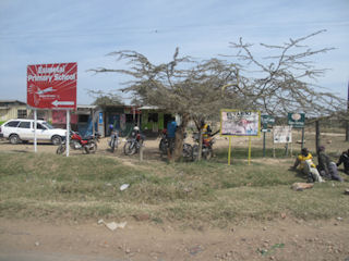 pic5.jpg